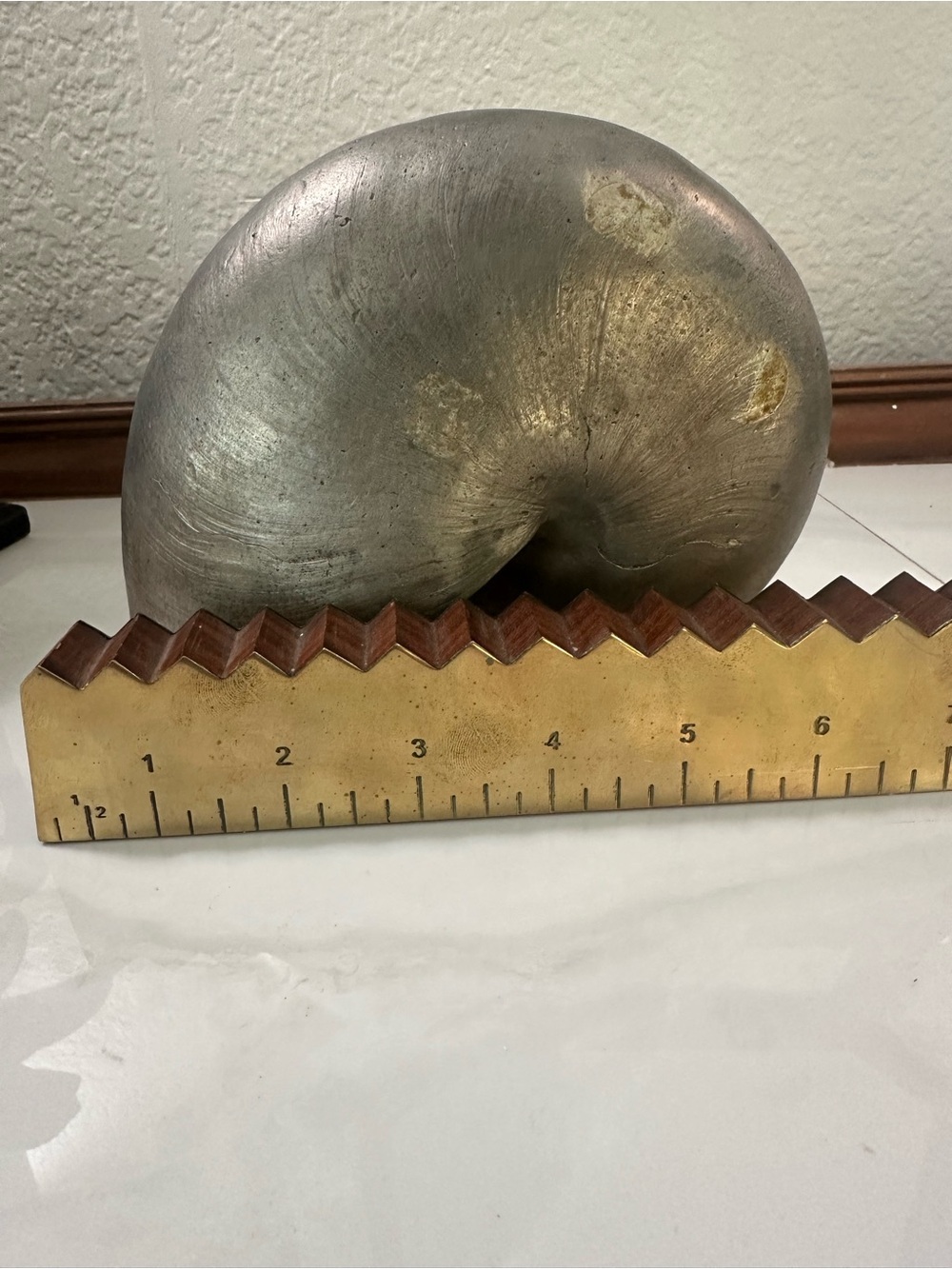 Nautilus silver Shell Sculpture ..Buccellati look !!! Over 3 lbs - Picture 2 of 8